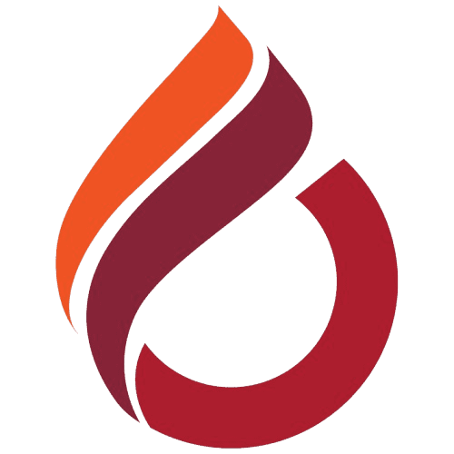 دانشگاه بینالمللی قبرس logo