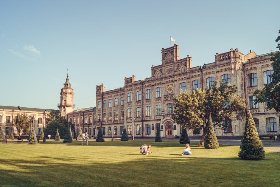 Top Universities with Low Tuition Fees for International Students (2026 Guide)