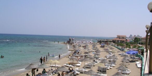 koca reis1