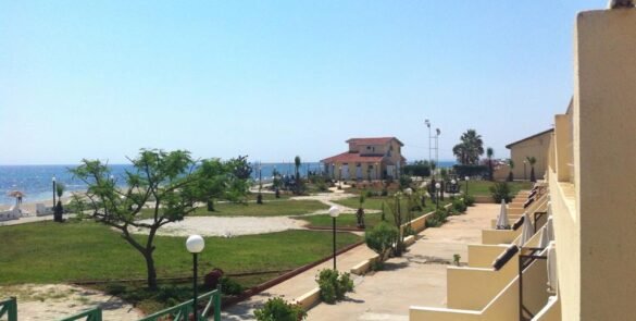 koca reis6